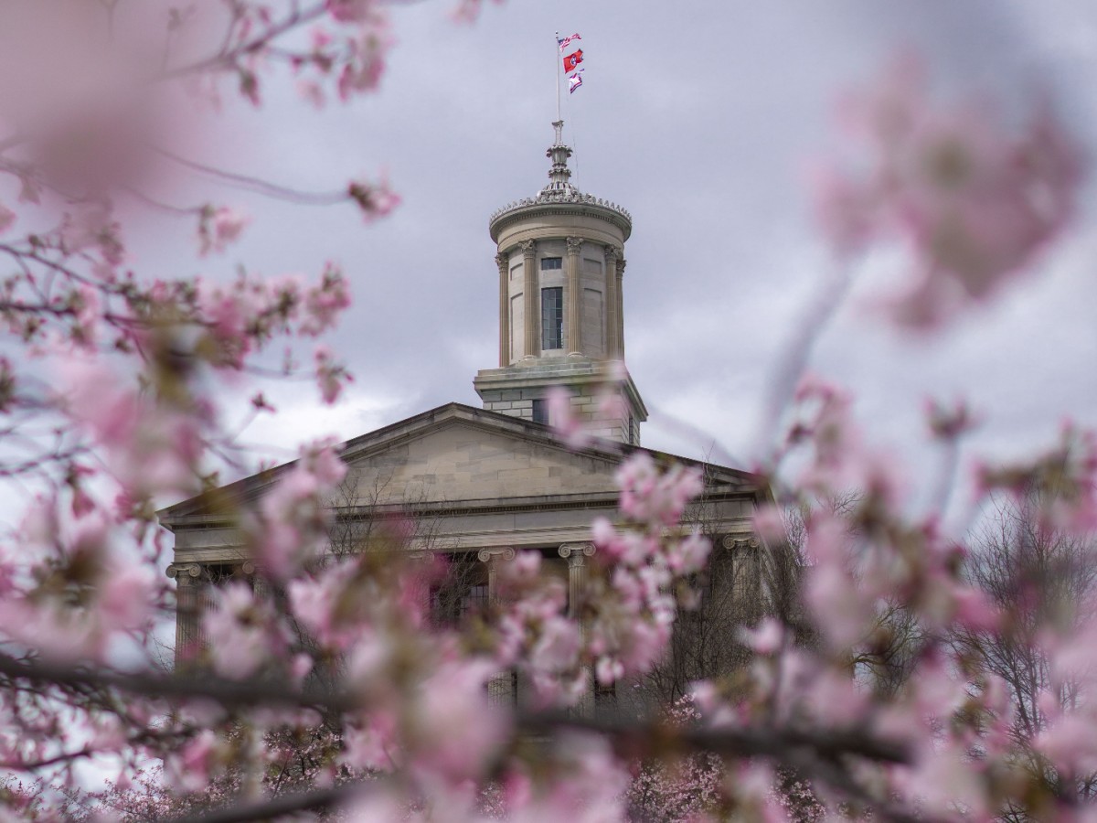 Letter Comments on Draft Tennessee Social Studies Standards by David